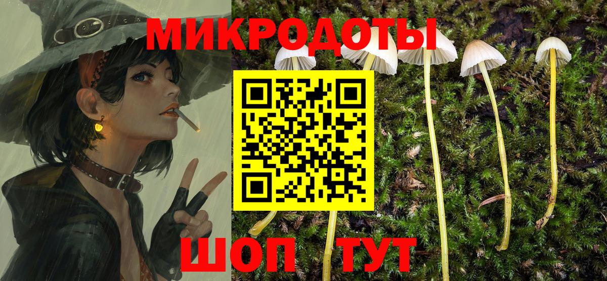 Галлюциногенные грибы Magic Shrooms Владивосток