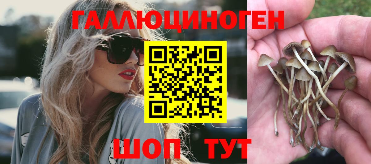 Псилоцибиновые грибы GOLDEN TEACHER  Вход с VPN  Владивосток 