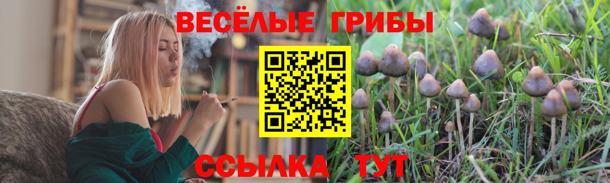 Псилоцибиновые грибы Cubensis  где продают наркотики  Владивосток 